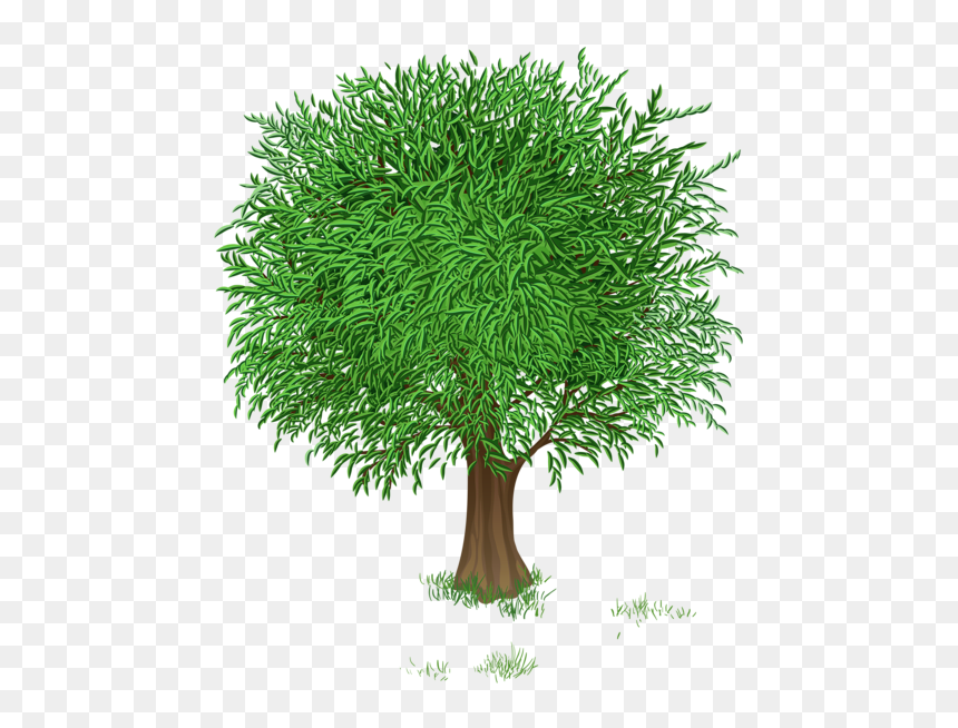 ® Imágenes Y Gifs Animados ® - Wedding Green Screen, HD Png Download - arboles png