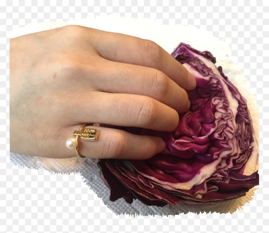 Shopping Fruits And Veggies Ring Black Onyx , Png Download - Red Cabbage, Transparent Png - veggies png