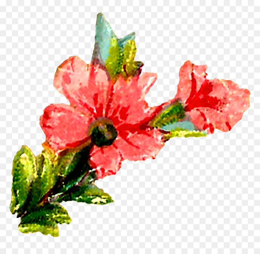 Pastel Floral Clipart Downloads - Watercolor Painting, HD Png Download - hibiscus flower png