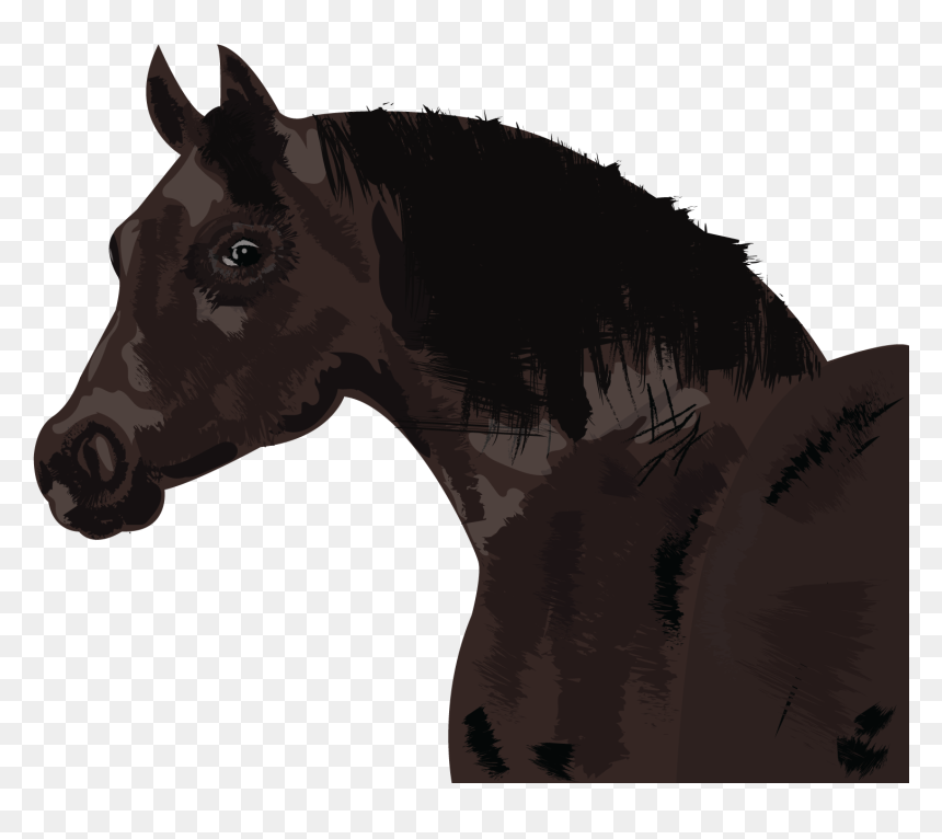 Horse - Stallion, HD Png Download - mustang horse png
