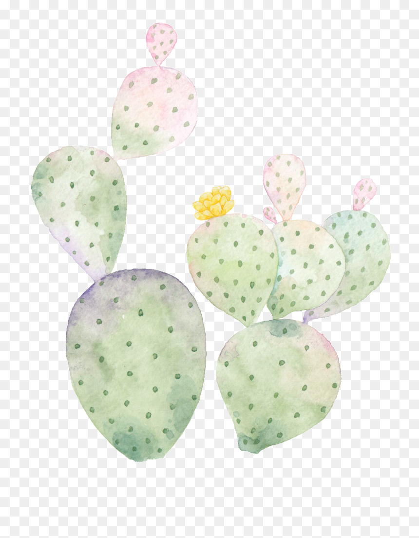 Hand Painted Cactus Png Transparent - Barbary Fig, Png Download - cactus clipart png