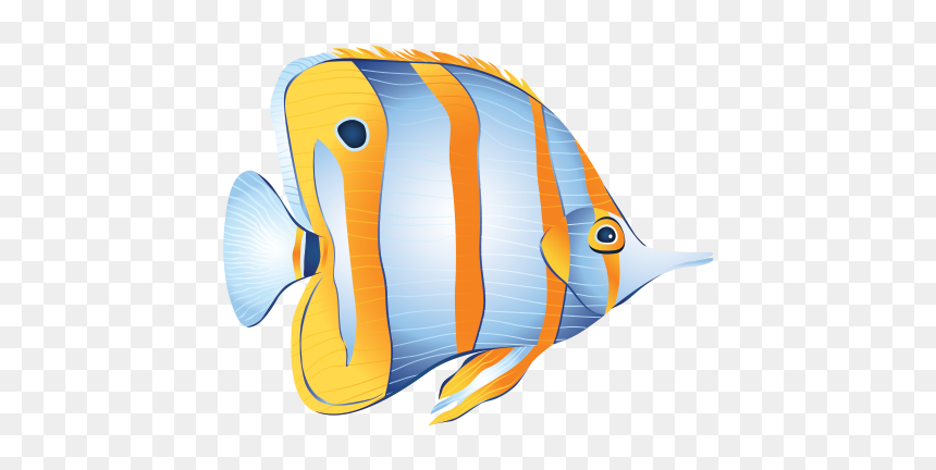 Coral Reef Fish, HD Png Download - coral reef png