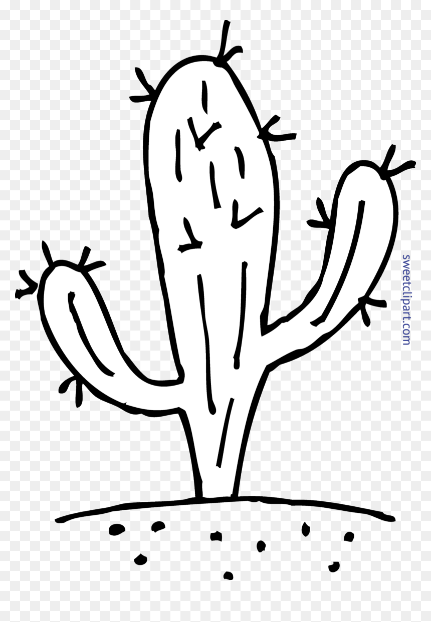 Clipart Coloring Pictures Top Cactus Clipart Images - Cactus Black And White Clipart, HD Png Download - cactus clipart png