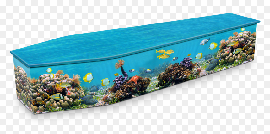 Coral Reef Coffin, HD Png Download - coral reef png
