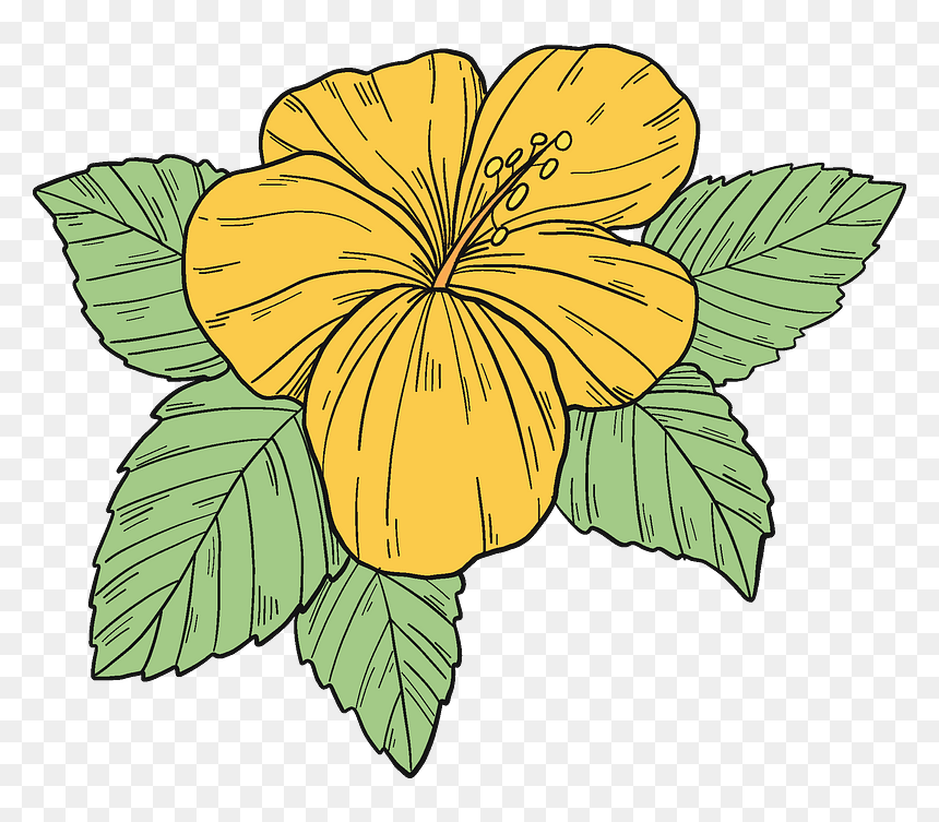 Yellow Hibiscus Flower Clipart - Hawaiian Hibiscus, HD Png Download - hibiscus flower png