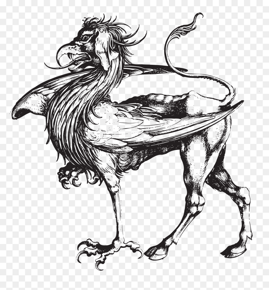 Griffin Clip Arts - Griffin Public Domain, HD Png Download - griffin png