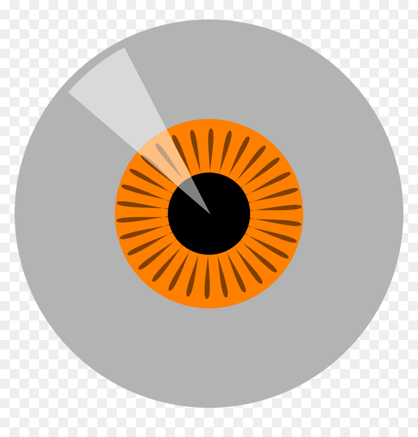 Vector Graphics, HD Png Download - shiny eyes png