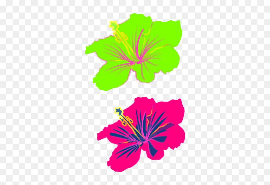 Hibiscus Flower - Hibiscus Clip Art, HD Png Download - hibiscus flower png