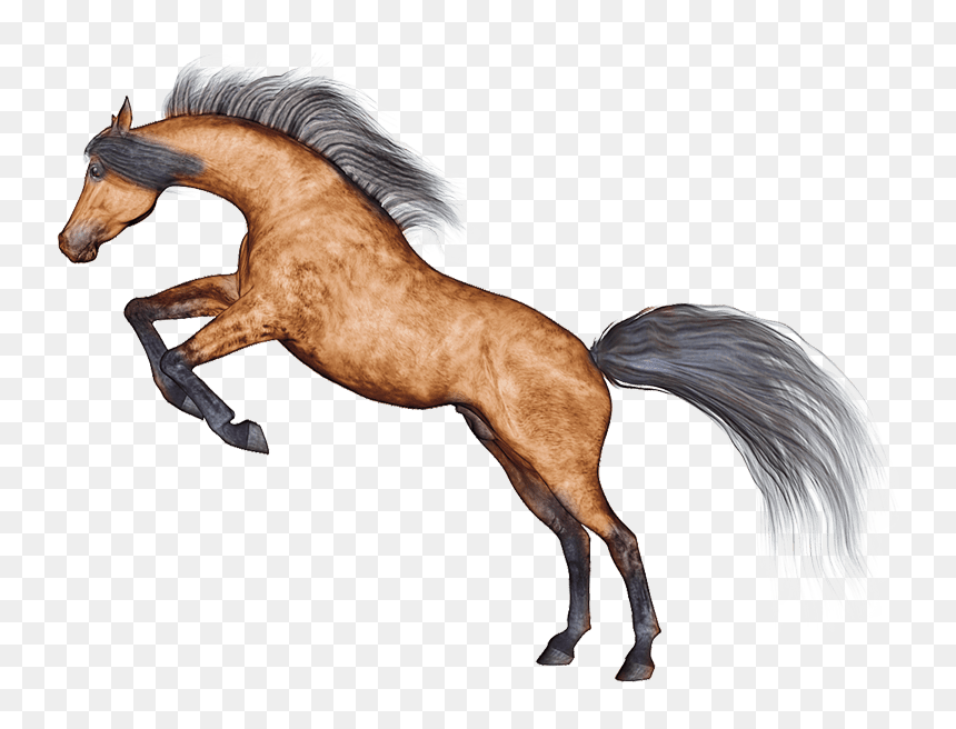 Horse, HD Png Download - mustang horse png