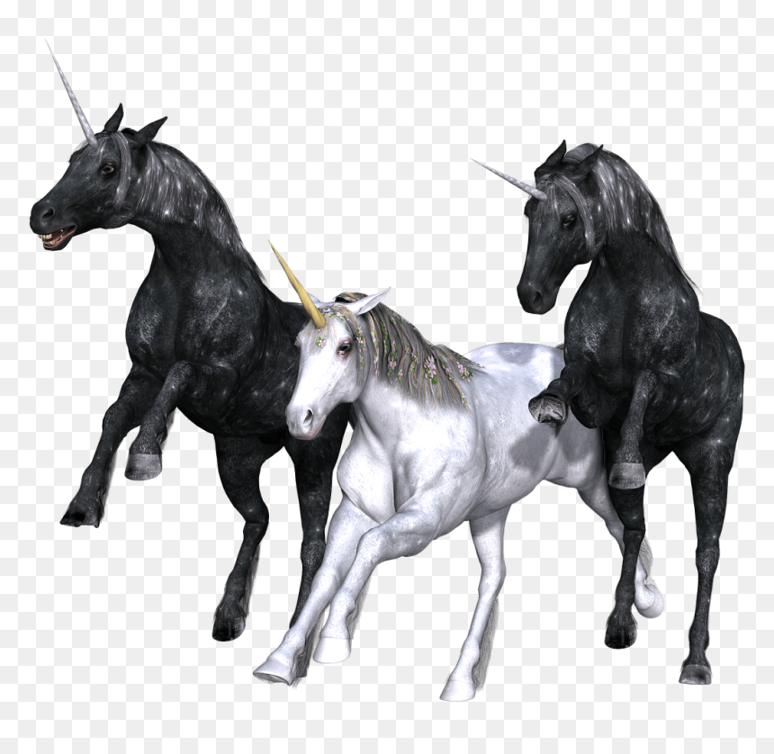 Unicorn Trio - Unicorn Trio Transparent Background, HD Png Download - unicorn silhouette png