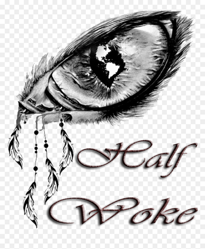 Anti Government Eye See A Dying World Dream Catcher - Dream Catcher Drawing Wolf, HD Png Download - woke eyes png