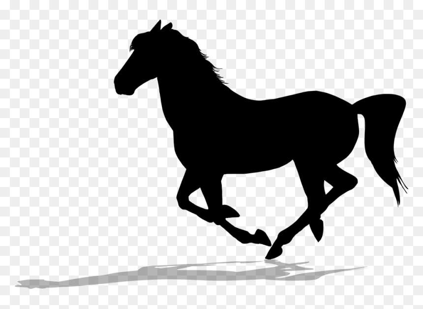 Stallion, HD Png Download - unicorn silhouette png