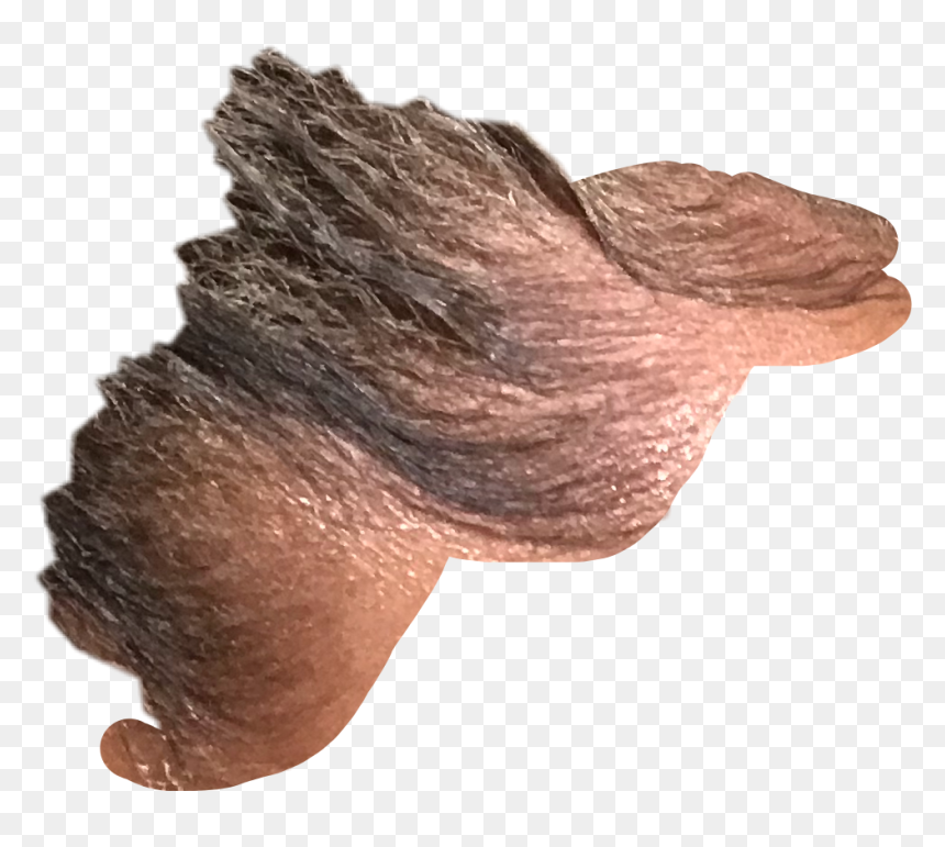 Fish, HD Png Download - lil yachty hair png