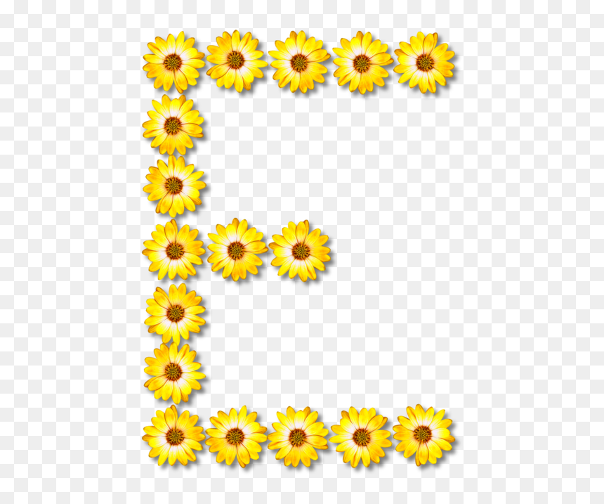 Sunflower Seed,chrysanths,plant - Flower Letter, HD Png Download - sunflower clipart png