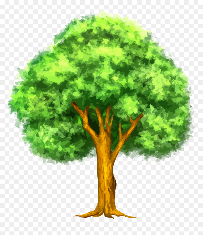 Retro Tree Clipart Vintage Trees Clipart - Rubber Tree Clipart Png, Transparent Png - tree drawing png