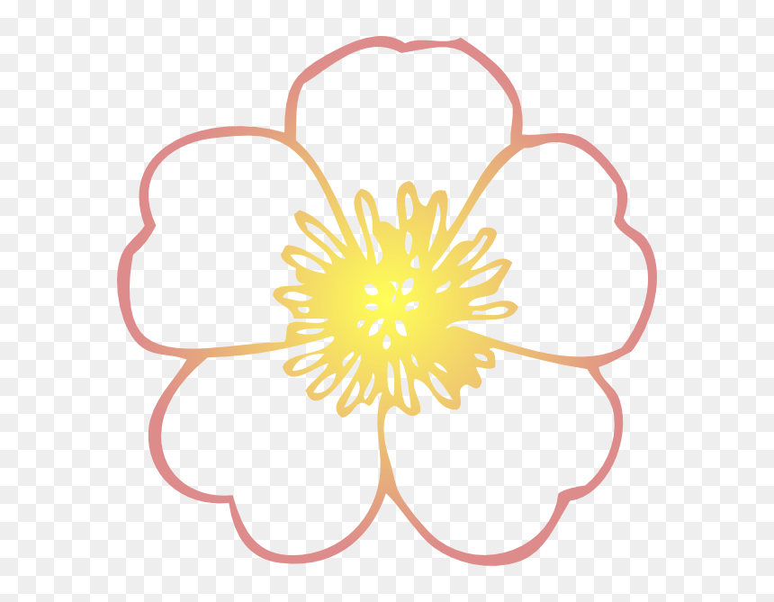 Poppy Clipart Coloring Page, HD Png Download - hibiscus flower png
