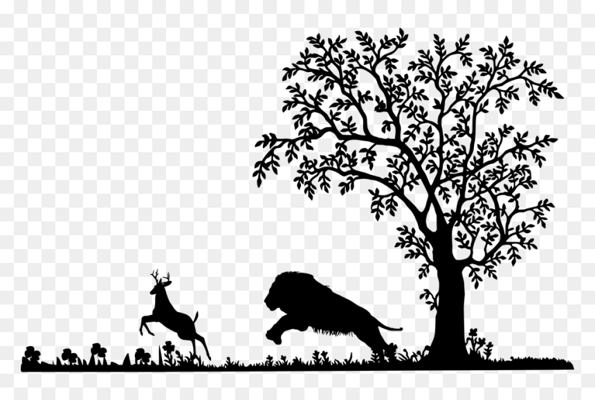 Tree Silhouette With Birds, HD Png Download - lion silhouette png