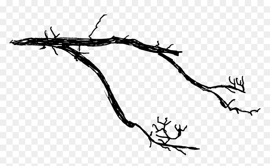 Tree Branch Transparent Background, HD Png Download - tree drawing png