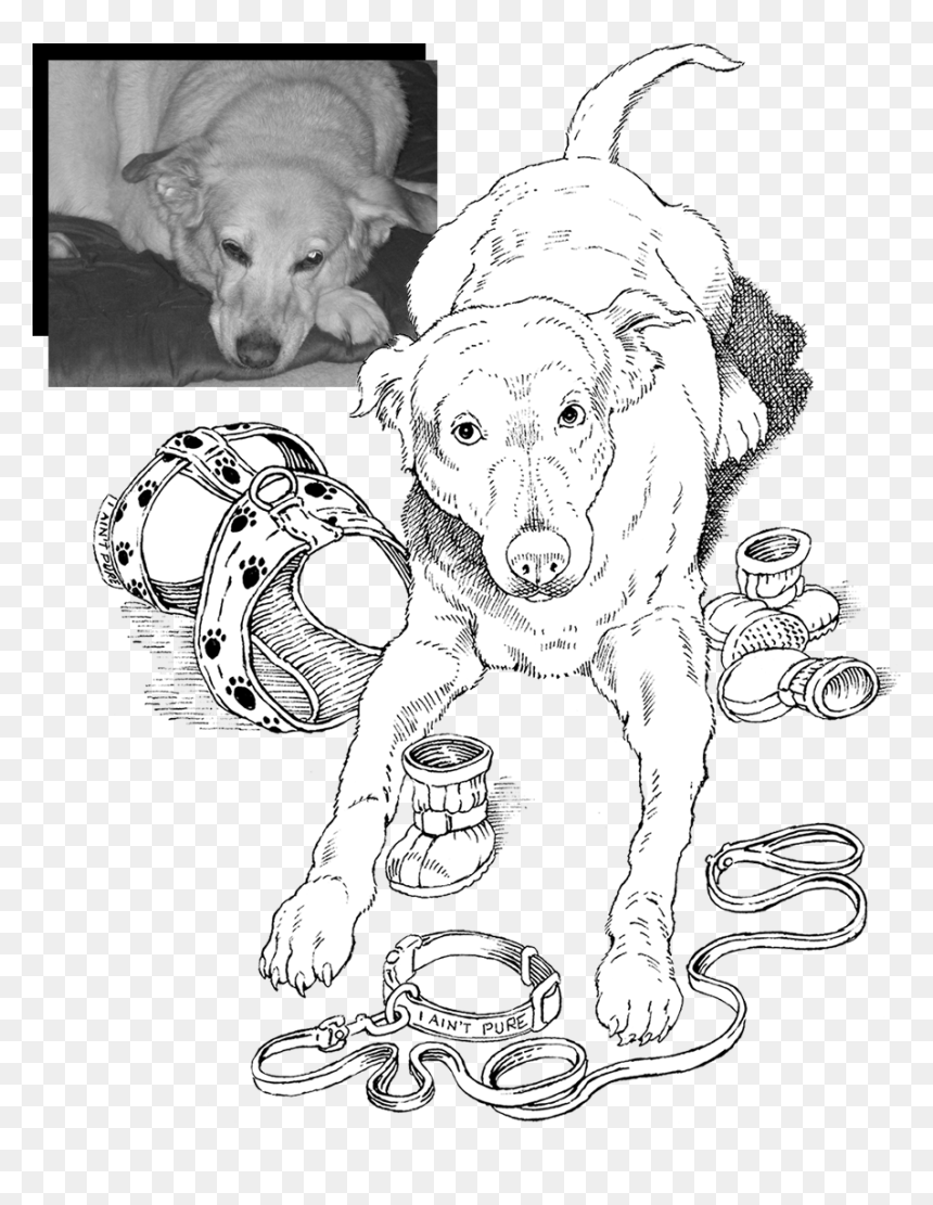 Maggie-collage - Line Art, HD Png Download - hand drawing png