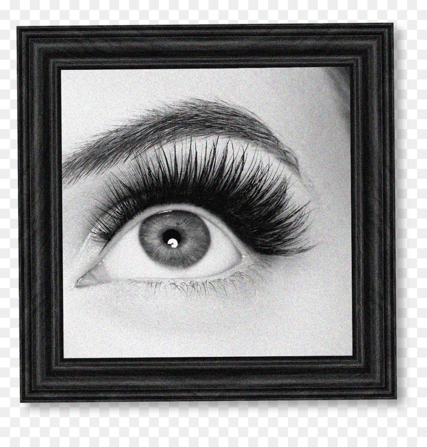 Eyelash, HD Png Download - woke eyes png