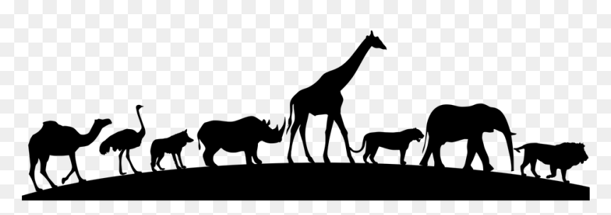 Animal Silhouettes In A Line, HD Png Download - lion silhouette png