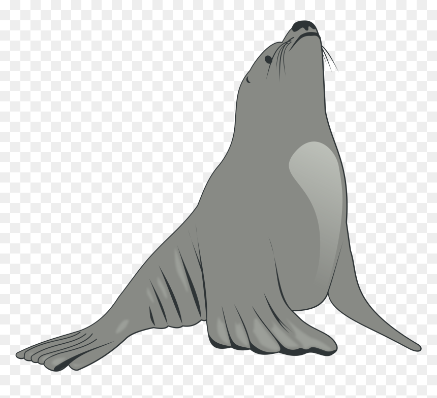 Lion - Silhouette - Clip - Art - Sea Lion Clipart, HD Png Download - lion silhouette png