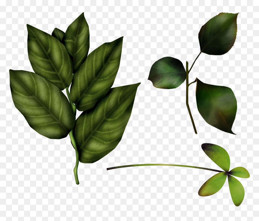 Green Leaves Png Image - Baby Winnie The Pooh, Transparent Png - pooh png
