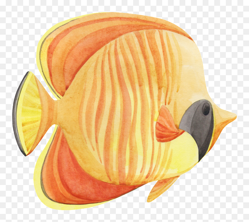Hand Painted A Tropical Fish Png Transparent, Png Download - tropical fish png
