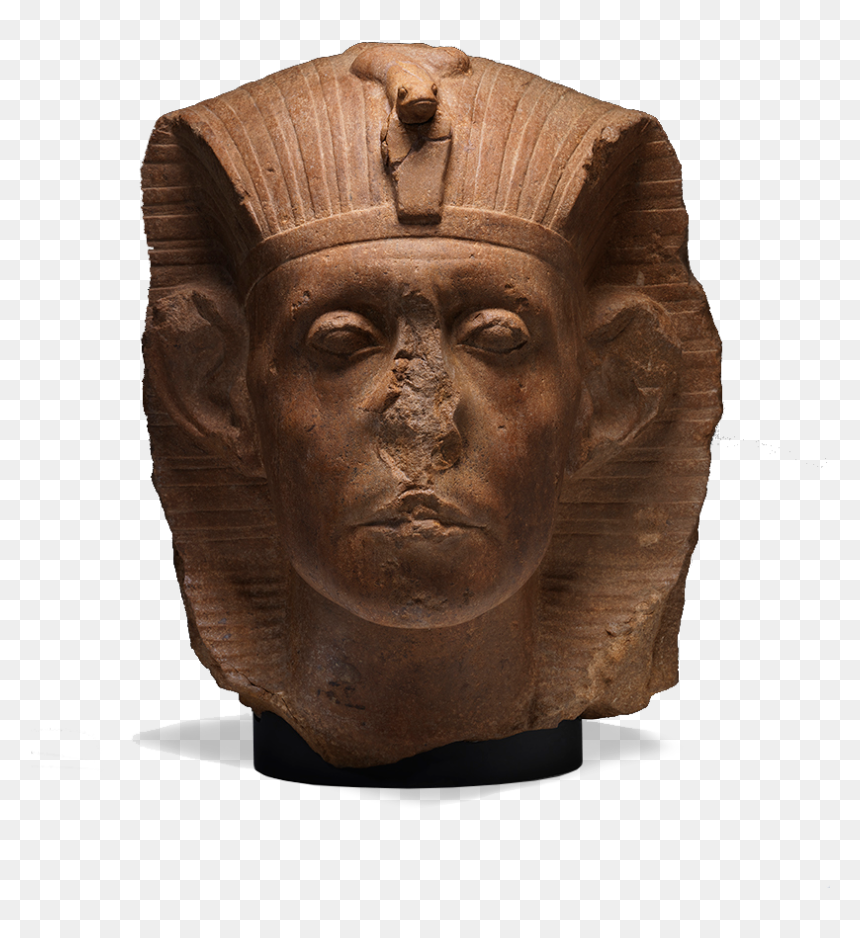 Palais Des Beaux Arts Lille Affiche, HD Png Download - roman bust png