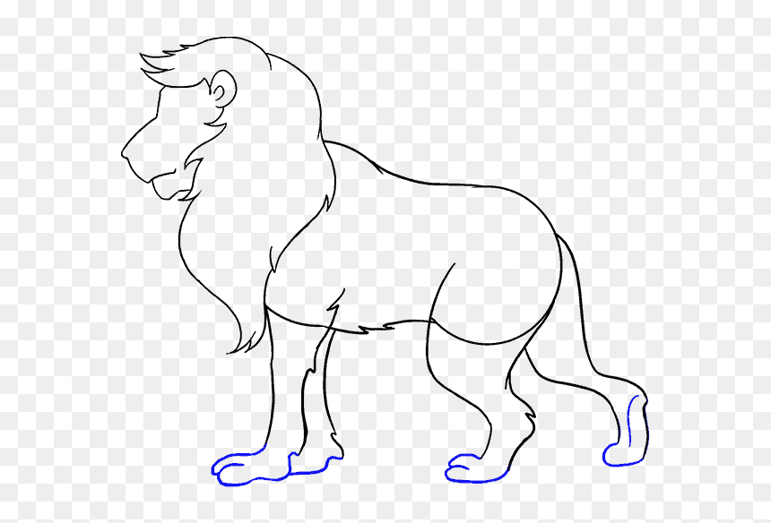 How To Draw Lion - Lion Drawing Images Hd, HD Png Download - lion silhouette png