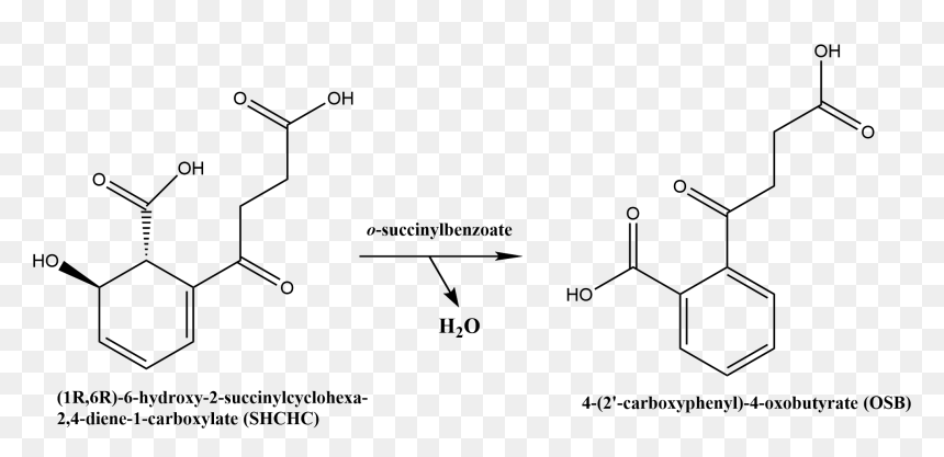 Chemical Reaction Catalyzed By Osbs - O Succinylbenzoate, HD Png Download - reaction png