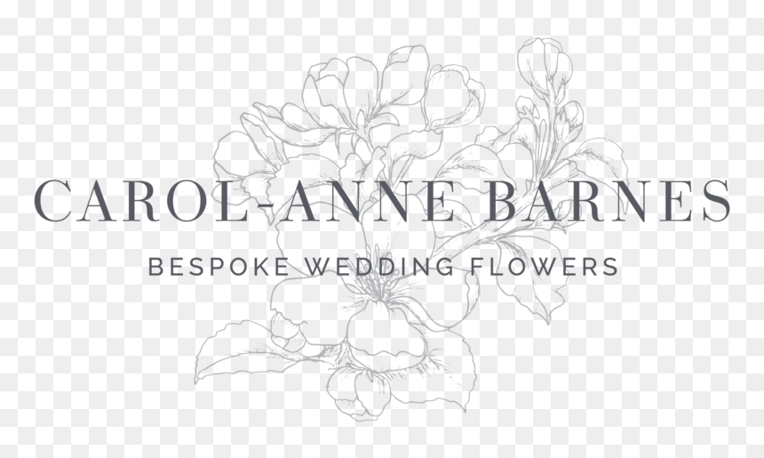 Carol-anne Barnes Horizontal Watermark Grey - Line Art, HD Png Download - bucky barnes png