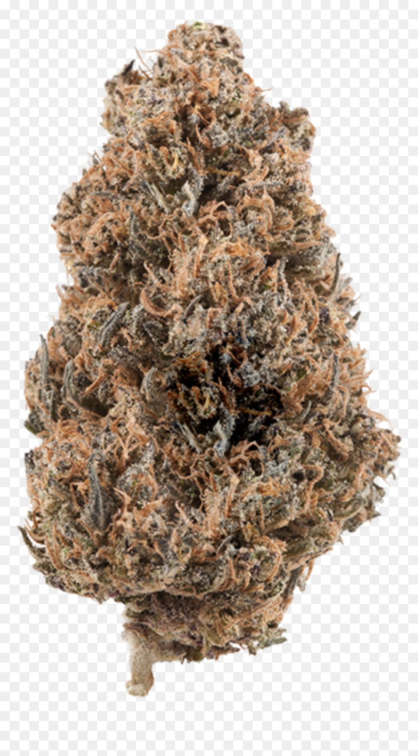 Transparent Frost Texture Png - Gelato 33 Larry Bird, Png Download - frost texture png