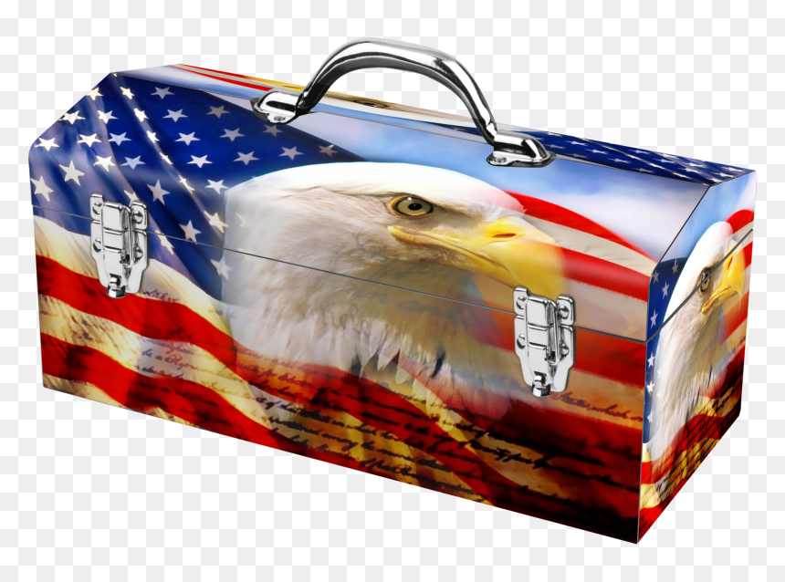 Bald Eagle With American Flag, HD Png Download - american flag eagle png