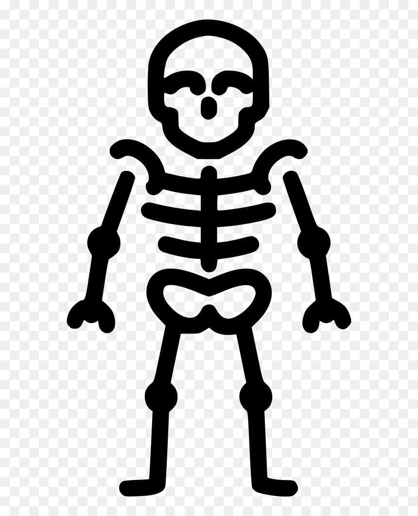 Skeleton Anatomy Bones Skull - Skeleton Icon Png, Transparent Png - cartoon skull png