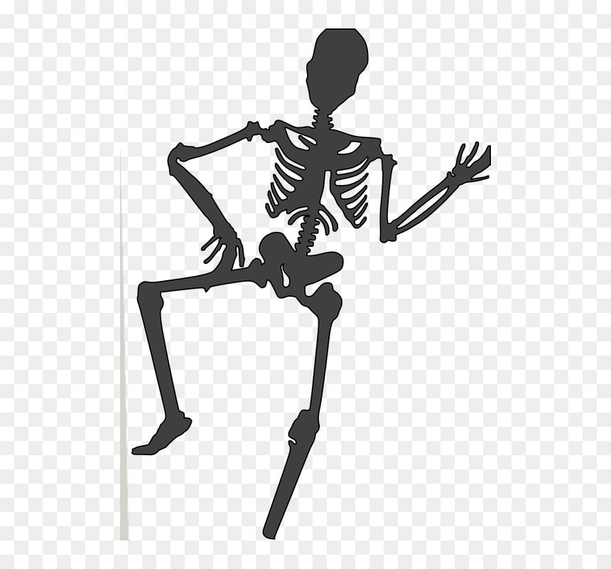 Cartoon Skull Png, Transparent Png - cartoon skull png