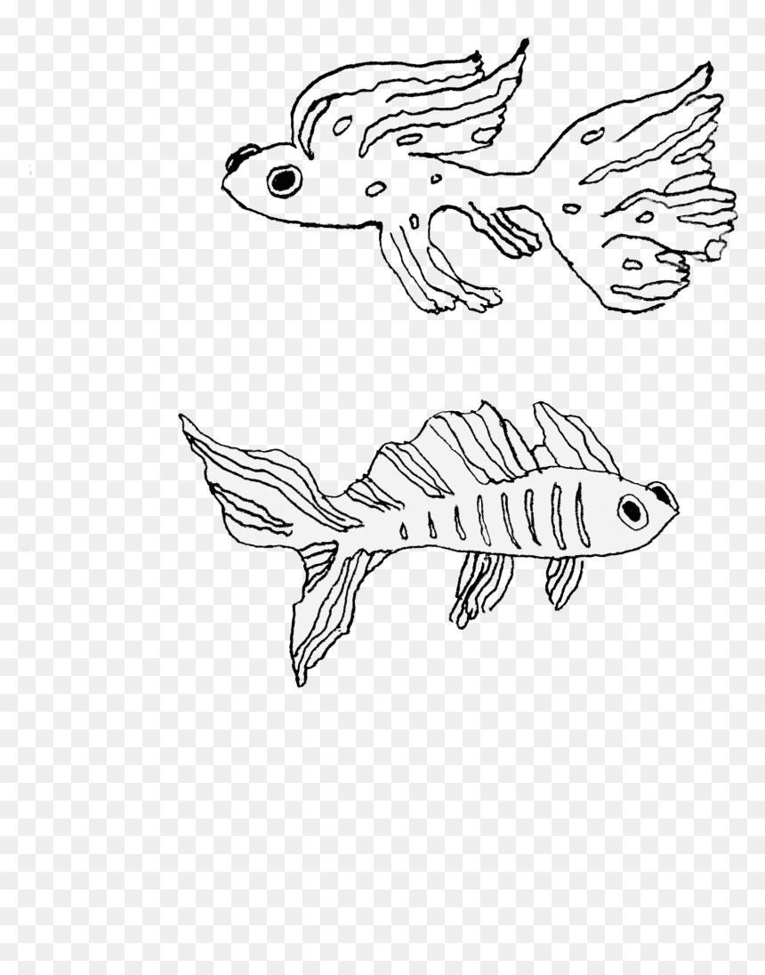 Line Art, HD Png Download - tropical fish png