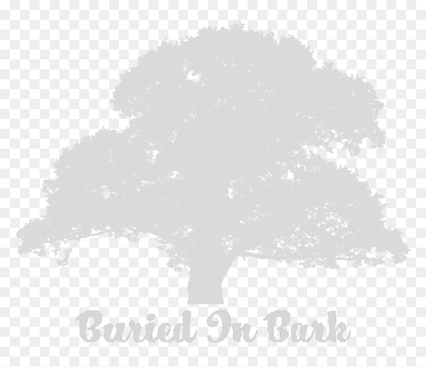 Old Oak Tree Silhouette , Png Download - Illustration, Transparent Png - oak tree silhouette png