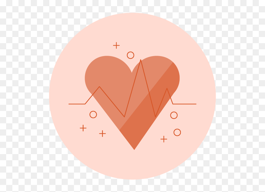 Ntk Highrisk Final Web V2 05, HD Png Download - fetus png