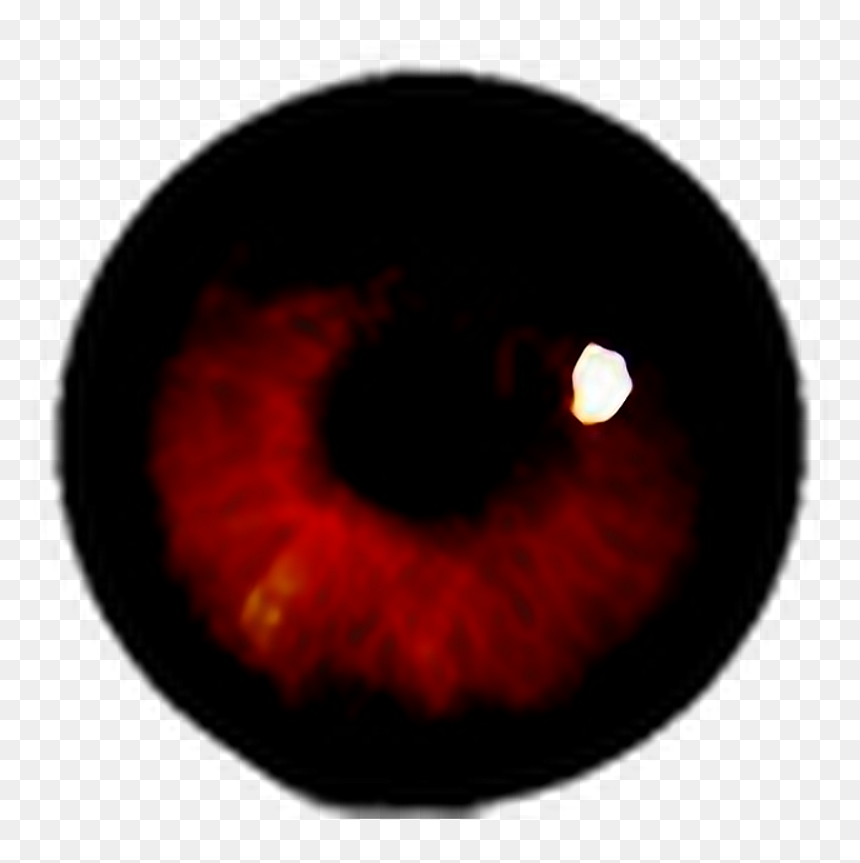 #terror #ojo #sangre #halloween #happyhalloween #stiker - Circle, HD Png Download - sangre png