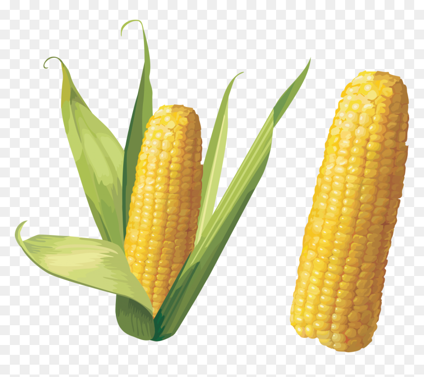 Corn Png Image - Corn Png, Transparent Png - popcorn kernel png