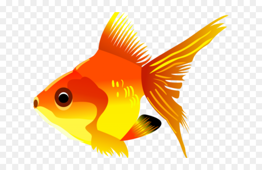 Tropical Fish Clipart Transparent Background - Fish Clipart Transparent Background, HD Png Download - tropical fish png