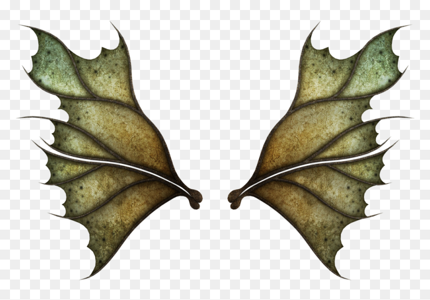 Fairy Wings Png - Dark Fairy Wings Png, Transparent Png - realistic fairy wings png