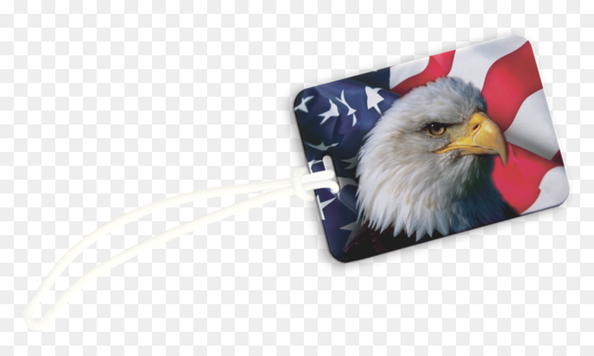 Cbtis Fronterizo, HD Png Download - american flag eagle png