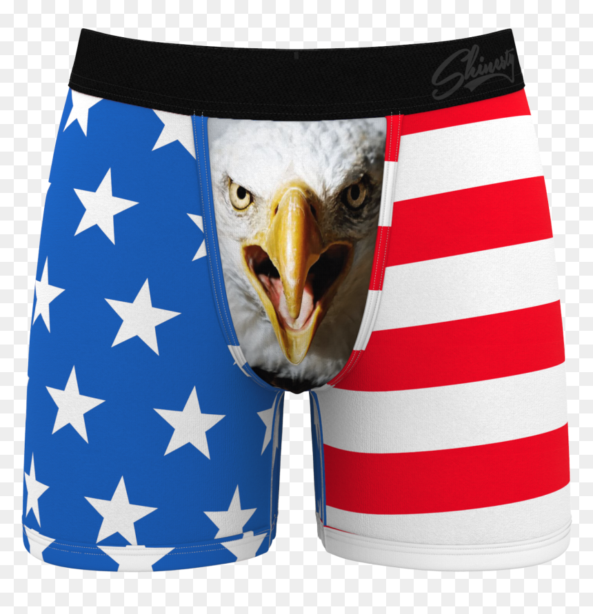 American Eagle Heart Underwear, HD Png Download - american flag eagle png