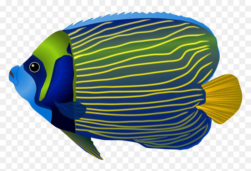 Fish Png Clipart Graphic Blue Fish Png Clip Art Image - Fisch Png Clipart, Transparent Png - fish.png