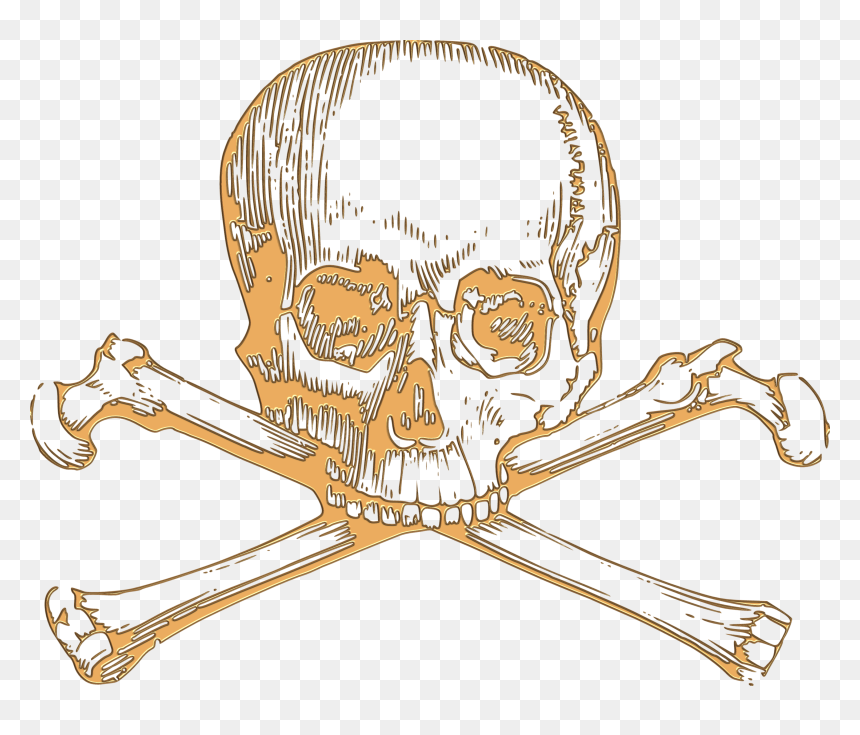 Skull And Crossbone Drawing, HD Png Download - cartoon skull png
