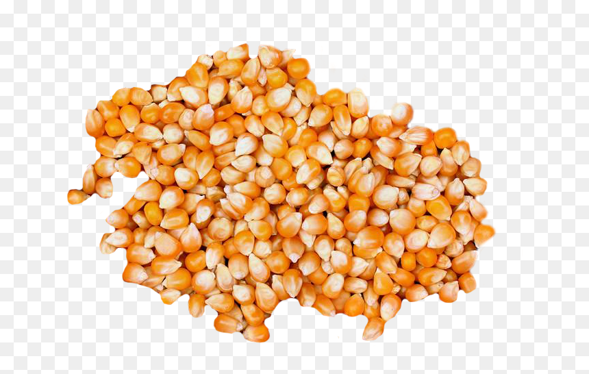 Corn Popcorn , Png Download - Maize, Transparent Png - popcorn kernel png