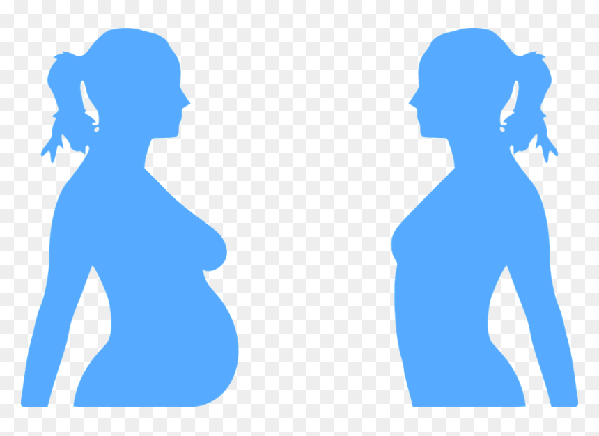 Pregnancy Pregnant Woman Baby Blue Belly - Pregnant Clip Art, HD Png Download - fetus png