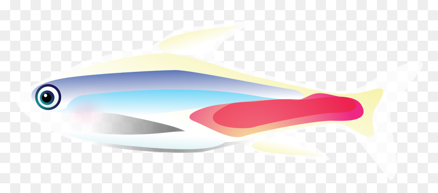 Wholphin, HD Png Download - tropical fish png